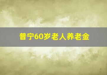 普宁60岁老人养老金