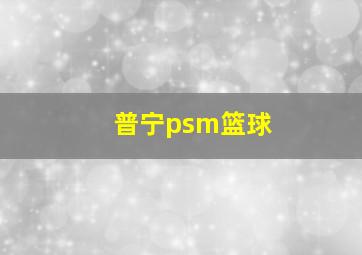 普宁psm篮球