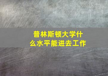 普林斯顿大学什么水平能进去工作