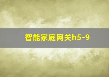 智能家庭网关h5-9