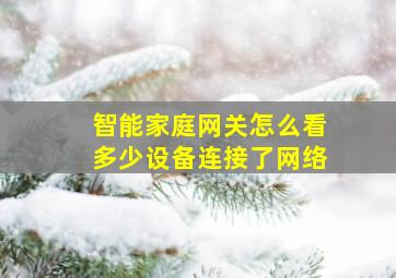 智能家庭网关怎么看多少设备连接了网络