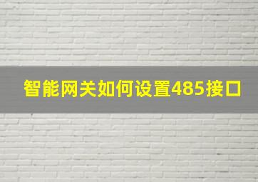 智能网关如何设置485接口