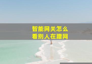 智能网关怎么看别人在蹭网