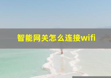 智能网关怎么连接wifi