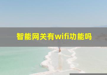 智能网关有wifi功能吗