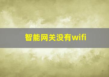 智能网关没有wifi