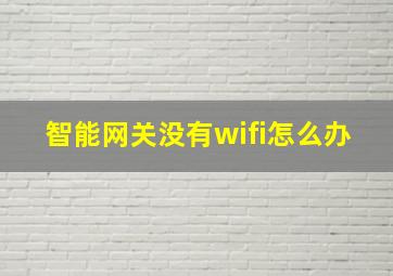 智能网关没有wifi怎么办