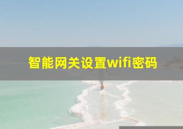 智能网关设置wifi密码