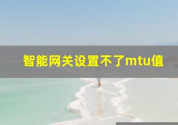 智能网关设置不了mtu值