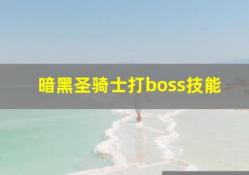 暗黑圣骑士打boss技能