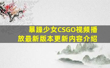 暴躁少女CSGO视频播放最新版本更新内容介绍