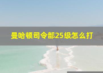 曼哈顿司令部25级怎么打