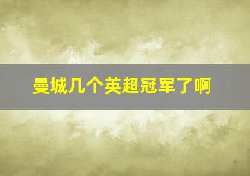 曼城几个英超冠军了啊