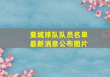 曼城球队队员名单最新消息公布图片