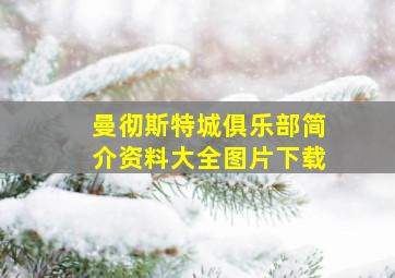 曼彻斯特城俱乐部简介资料大全图片下载