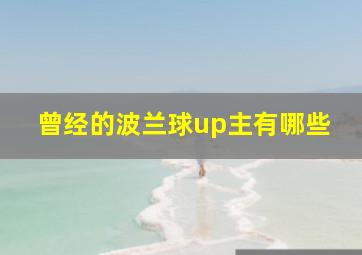 曾经的波兰球up主有哪些