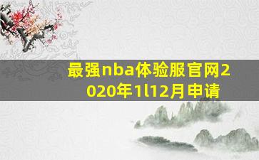 最强nba体验服官网2020年1l12月申请