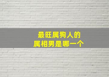 最旺属狗人的属相男是哪一个