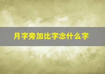 月字旁加比字念什么字