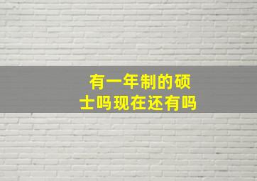 有一年制的硕士吗现在还有吗