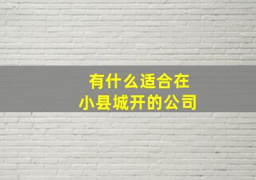 有什么适合在小县城开的公司