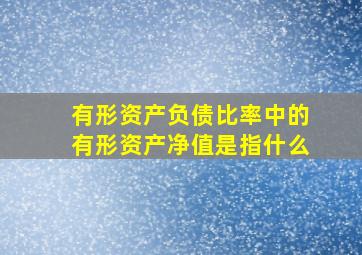 有形资产负债比率中的有形资产净值是指什么