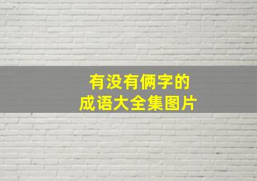 有没有俩字的成语大全集图片