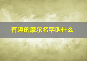 有趣的摩尔名字叫什么