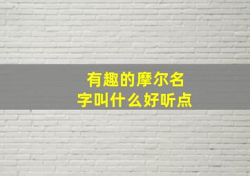 有趣的摩尔名字叫什么好听点