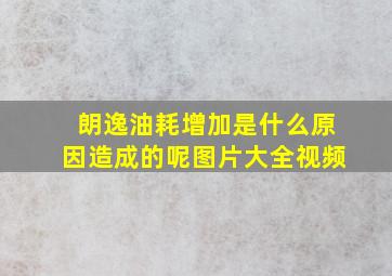 朗逸油耗增加是什么原因造成的呢图片大全视频