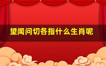 望闻问切各指什么生肖呢