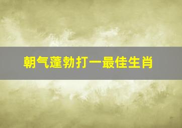 朝气蓬勃打一最佳生肖