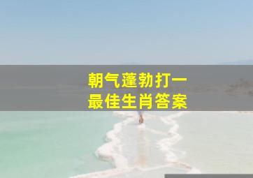 朝气蓬勃打一最佳生肖答案