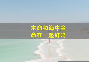 木命和海中金命在一起好吗