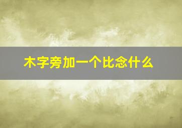 木字旁加一个比念什么