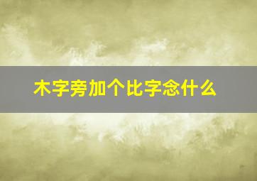 木字旁加个比字念什么