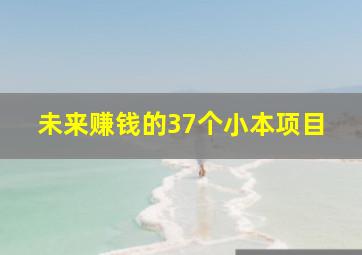 未来赚钱的37个小本项目