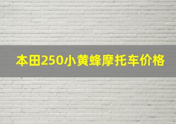 本田250小黄蜂摩托车价格