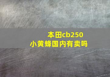 本田cb250小黄蜂国内有卖吗