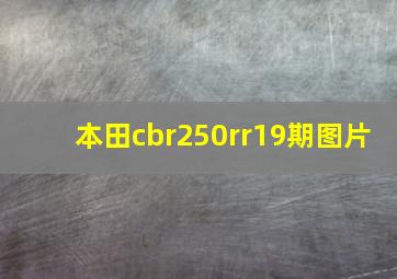 本田cbr250rr19期图片