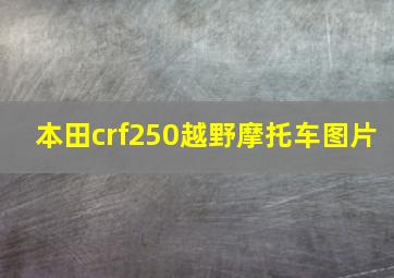 本田crf250越野摩托车图片