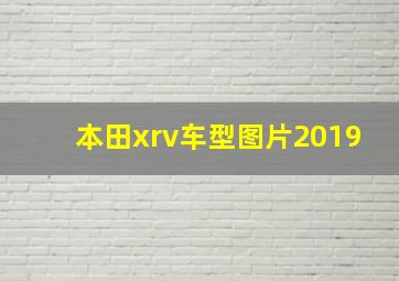 本田xrv车型图片2019