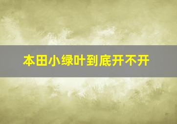 本田小绿叶到底开不开