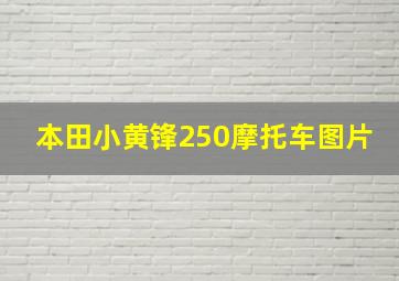 本田小黄锋250摩托车图片