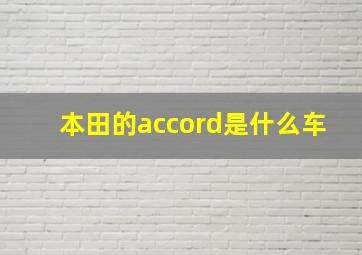 本田的accord是什么车