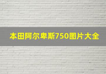 本田阿尔卑斯750图片大全