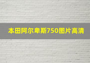 本田阿尔卑斯750图片高清