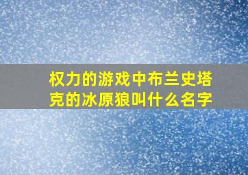 权力的游戏中布兰史塔克的冰原狼叫什么名字