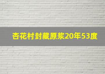 杏花村封藏原浆20年53度