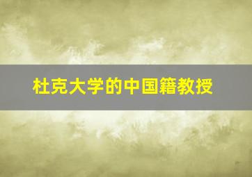 杜克大学的中国籍教授